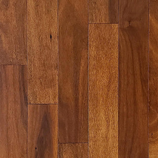 Acacia Engineered Hardwood Flooring - Click - Bronze - 3 1/2" - Golden Elite Deco