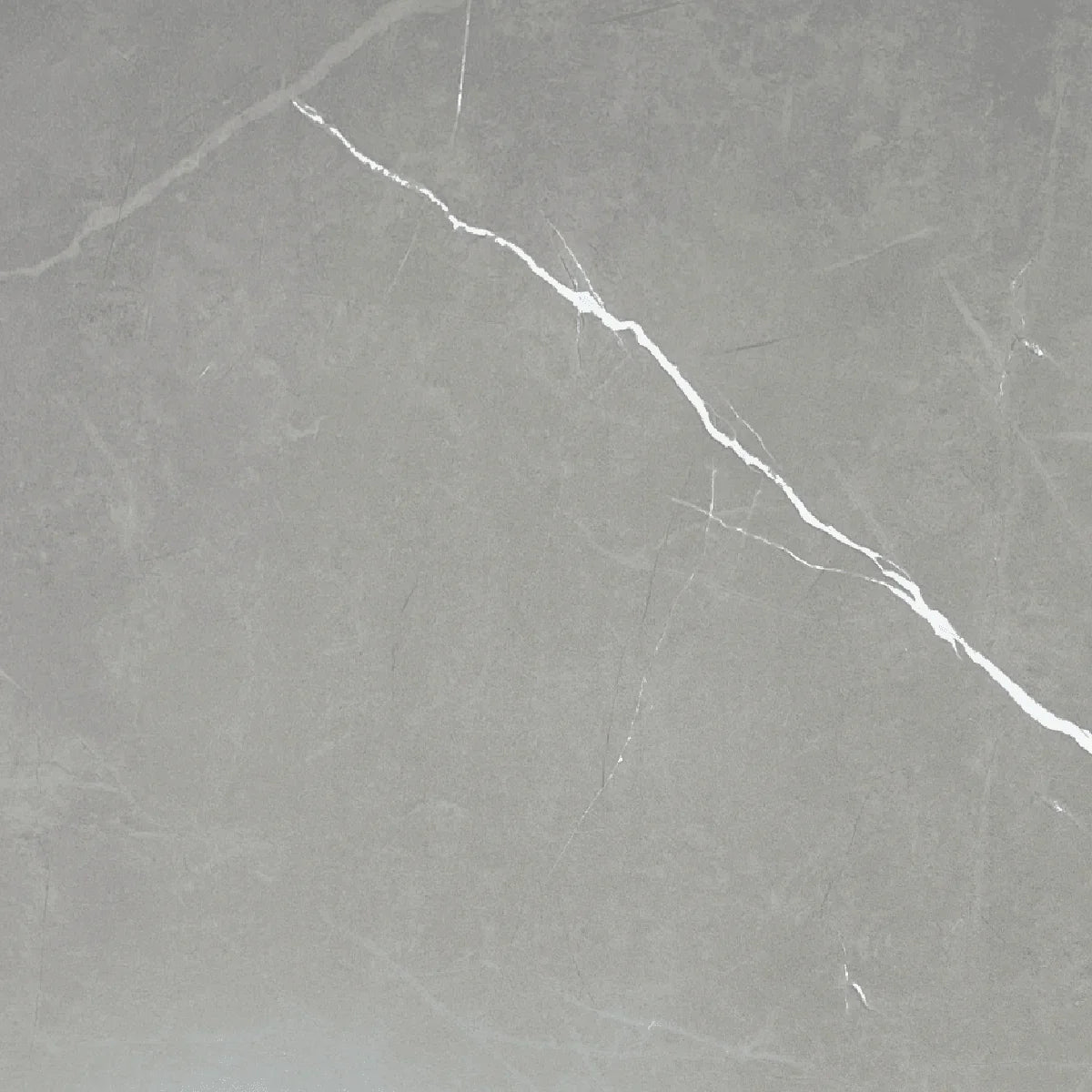 24" x 24" Porcelain Tile - Camelia Dark - Golden Elite Deco