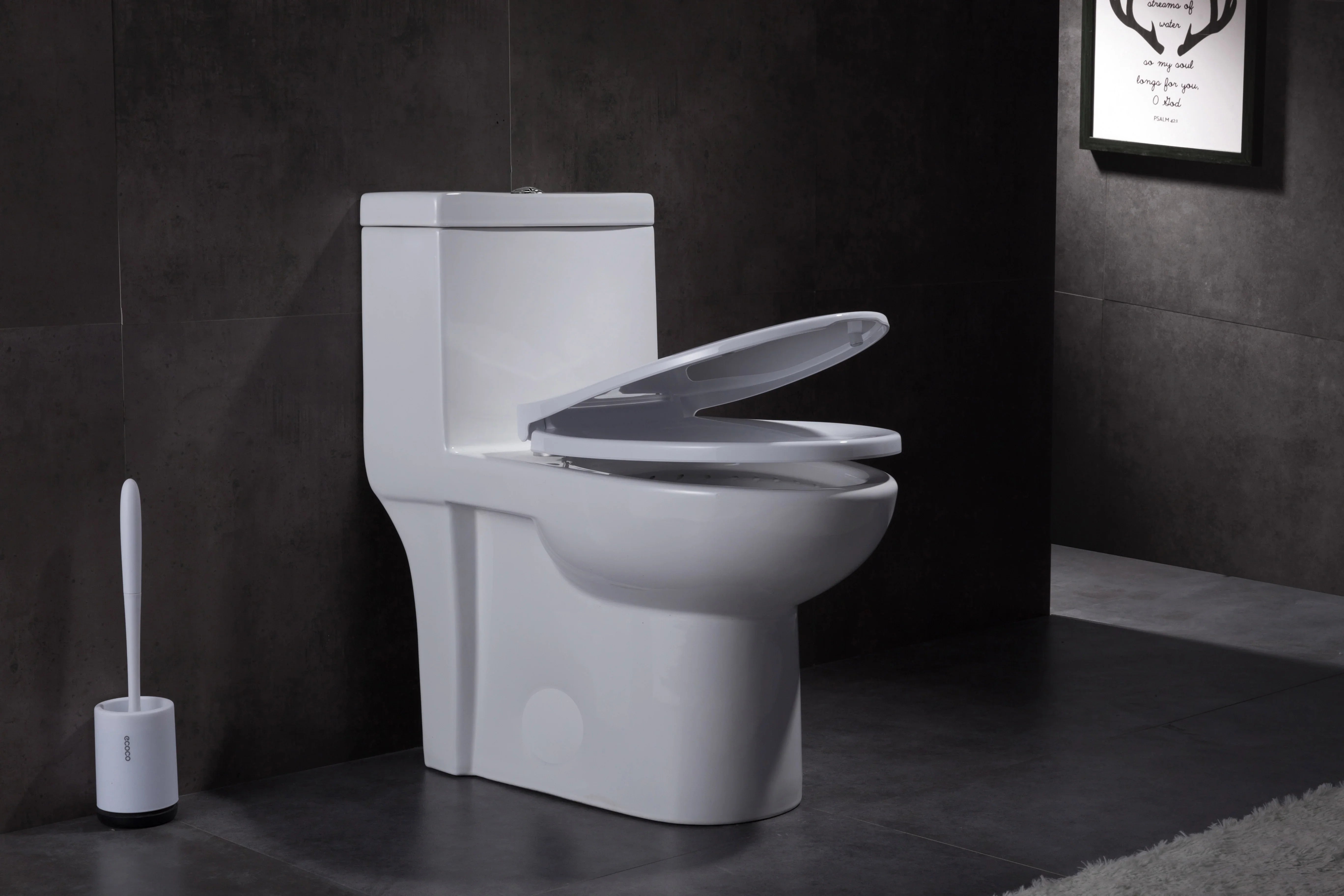 One Piece Toilet - Hilton