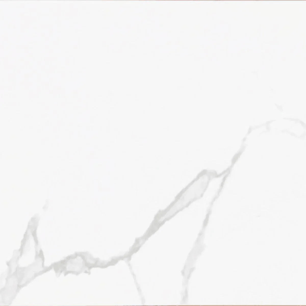 24" x 24" Porcelain Tile - Staturio Vienna - Golden Elite Deco