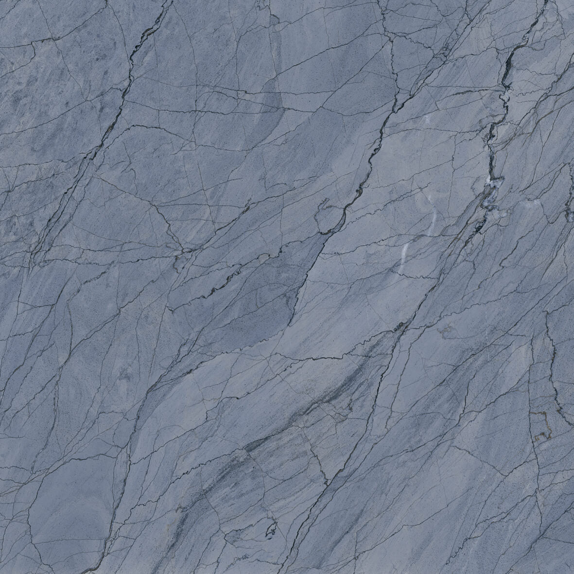 Tuile Porcelaine 24po x 24po Campus bleu mat