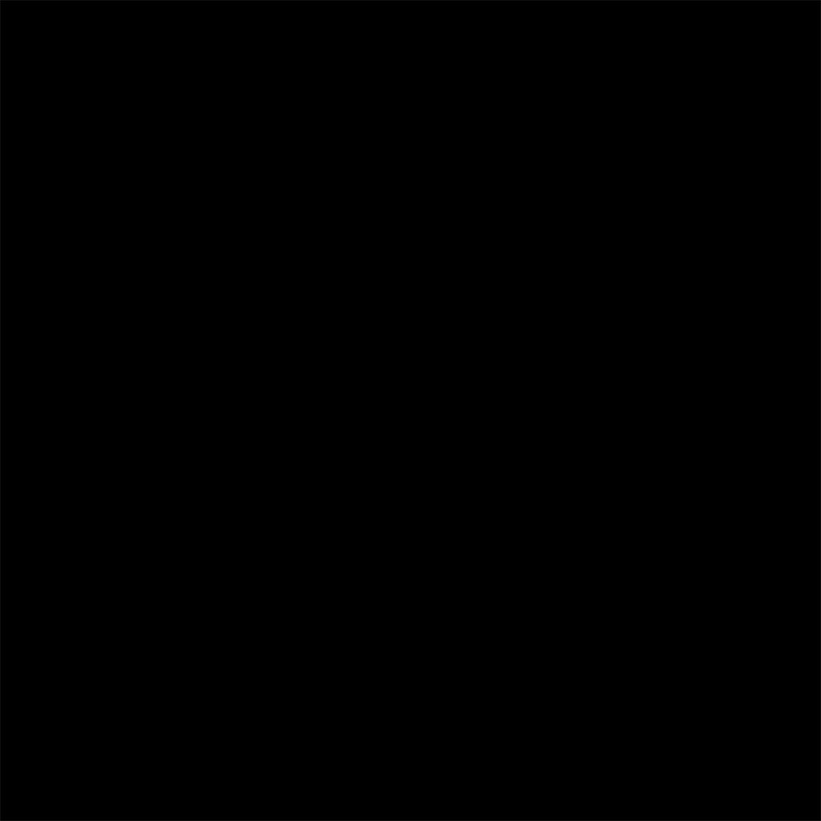 Carrelage de Porcelaine 24po x 24po Noir Super Mat