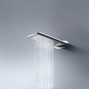 Showerhead Stainless Steel - 2-Function - Golden Elite Deco