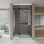 Porte de douche pivotante réversible 48po x 79po noir mat avec verre teinté noir