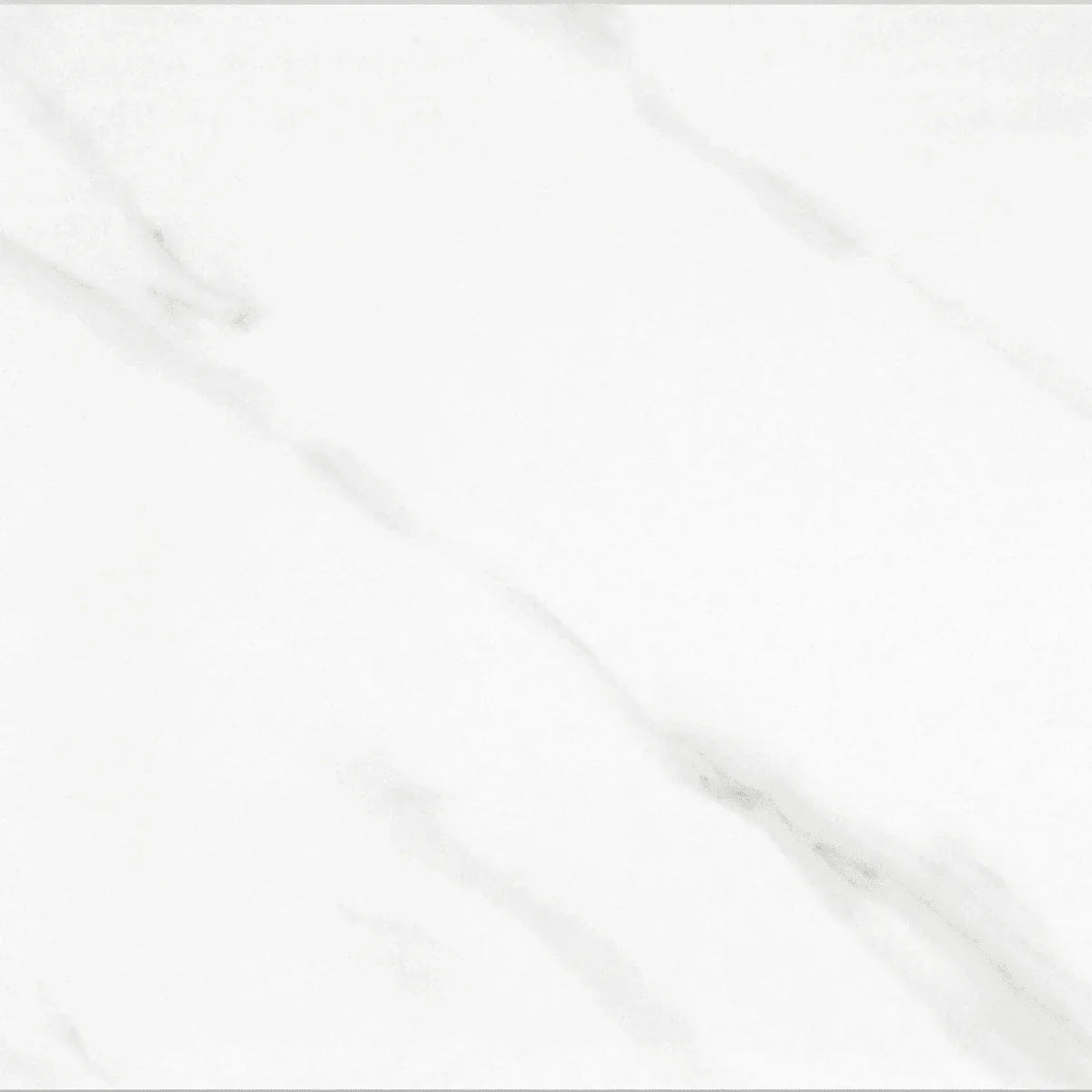 24" x 24" Porcelain Tile - Dream White - Golden Elite Deco