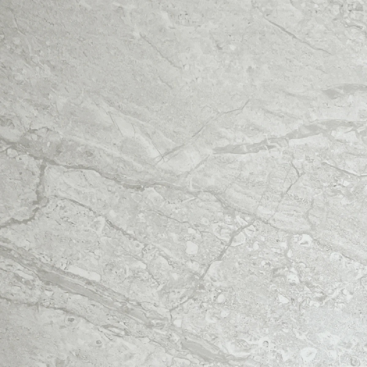 24" x 24" Porcelain Tile - Essence Grey - Golden Elite Deco