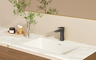 Bari Single Handle Bathroom Sink Faucet in Matte Black