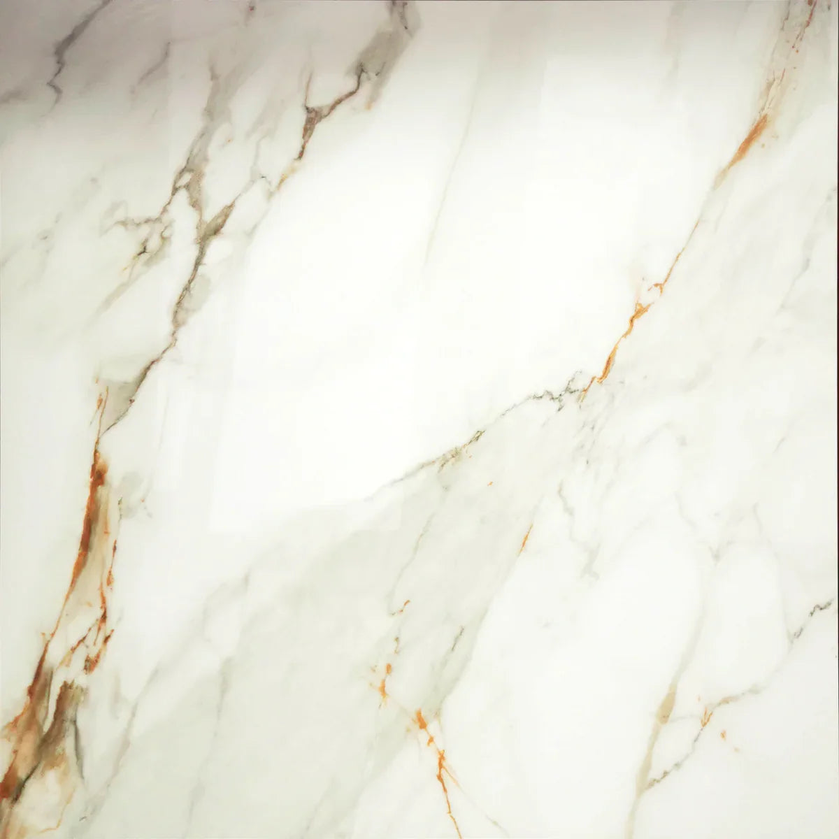 24" x 24" Porcelain Tile - Calcutta Gold