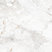 24" x 24" Colombo Bianco Glossy Porcelain Tile