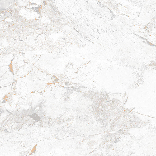 24" x 24" Colombo Bianco Glossy Porcelain Tile