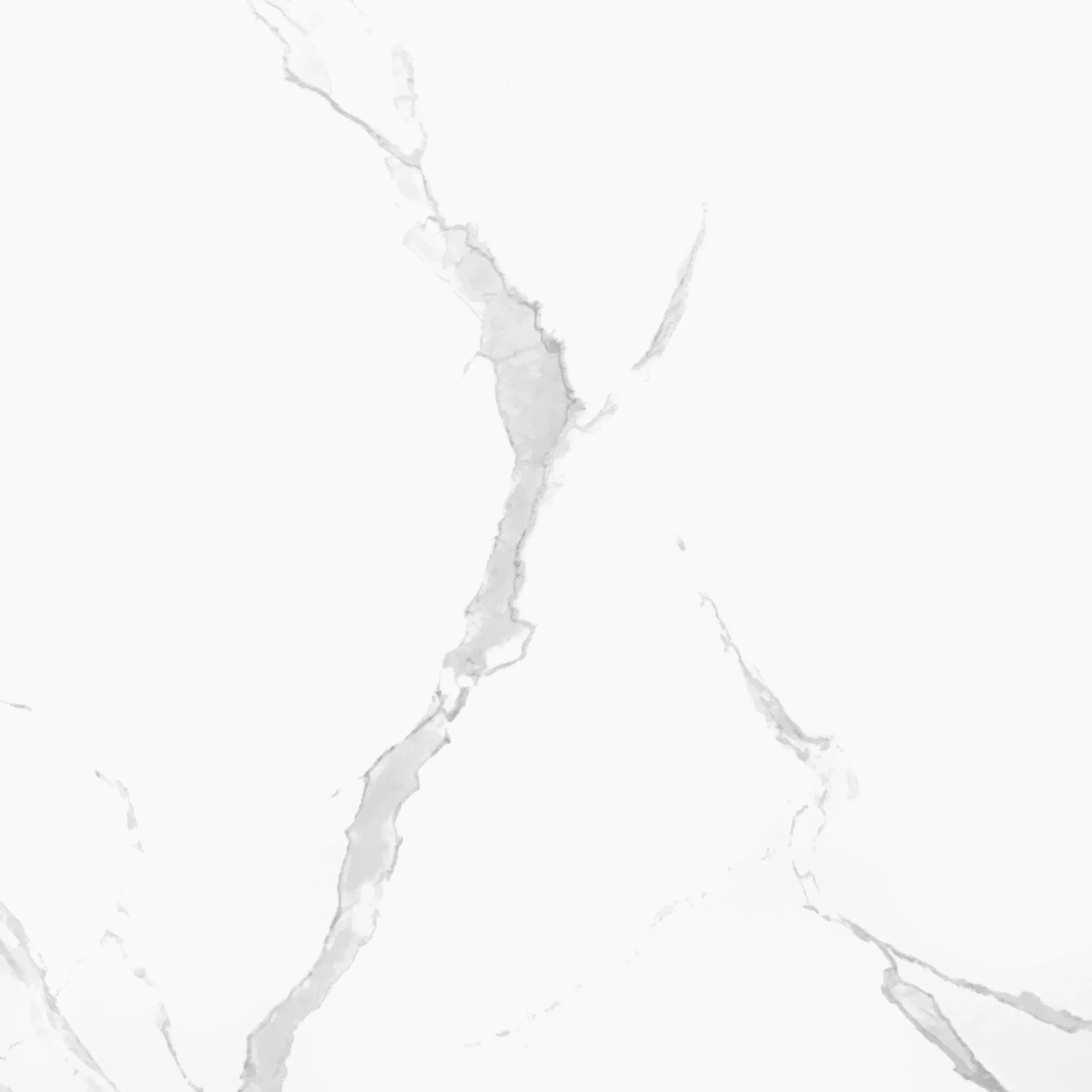 Fuji Glossy Porcelain Tile - 24 in x 24 in