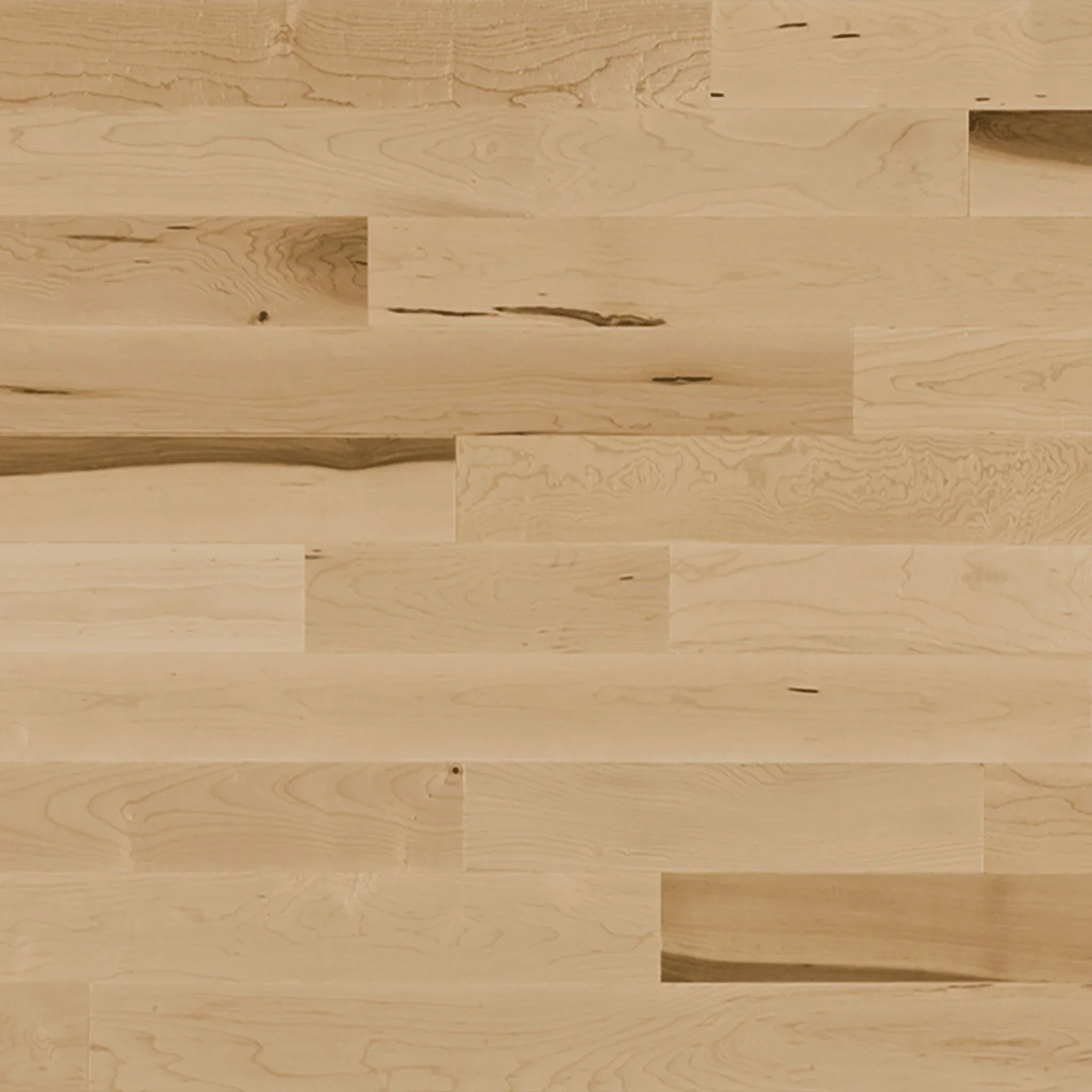 Maple Wood Flooring Texture Hard Maple Light Wood Fine Texture