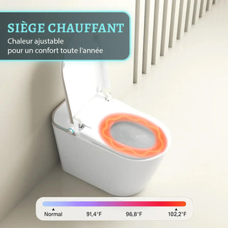 SERA Sigma Smart Bidet Toilet, One-Piece Toilet with Auto Jet Flush, Auto Open/Close Lid, Warm Water Wash, Warm-Air Dryer, Heated Seat – Gold Trim