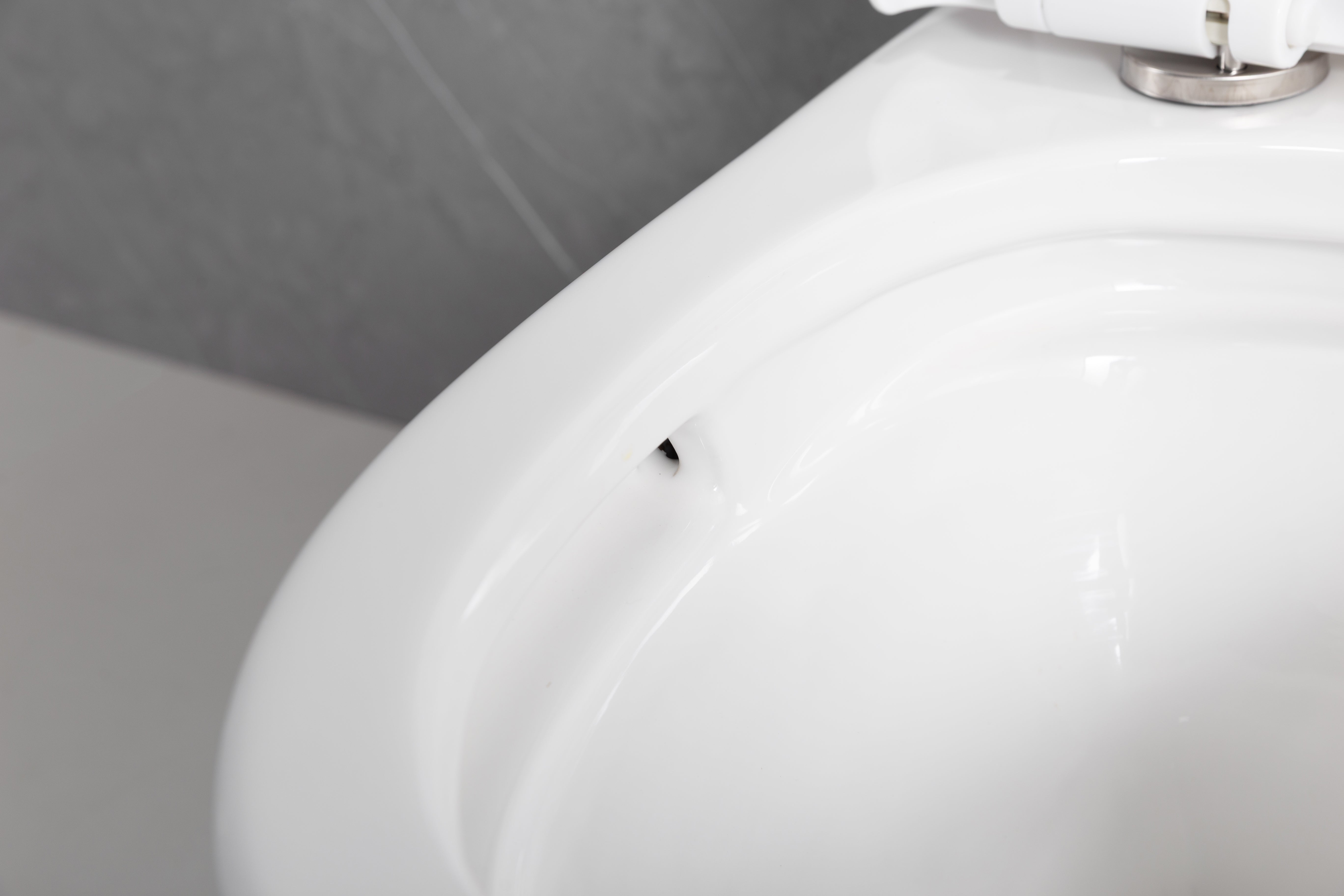 Toilette Monobloc Marbella Blanche à Double Chasse