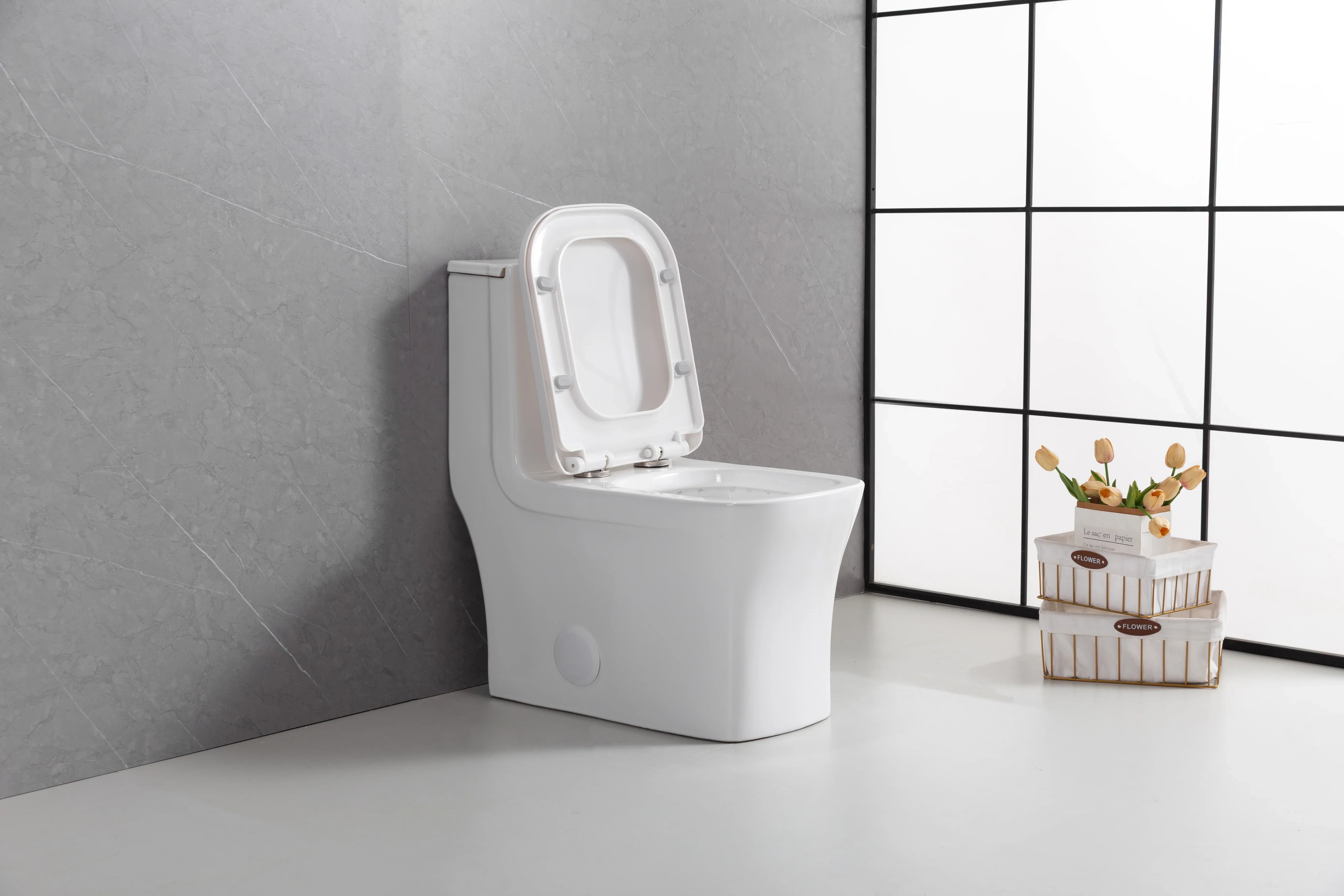 Merida One-Piece Toilet in White – Dual Flush Elongated Square Bowl