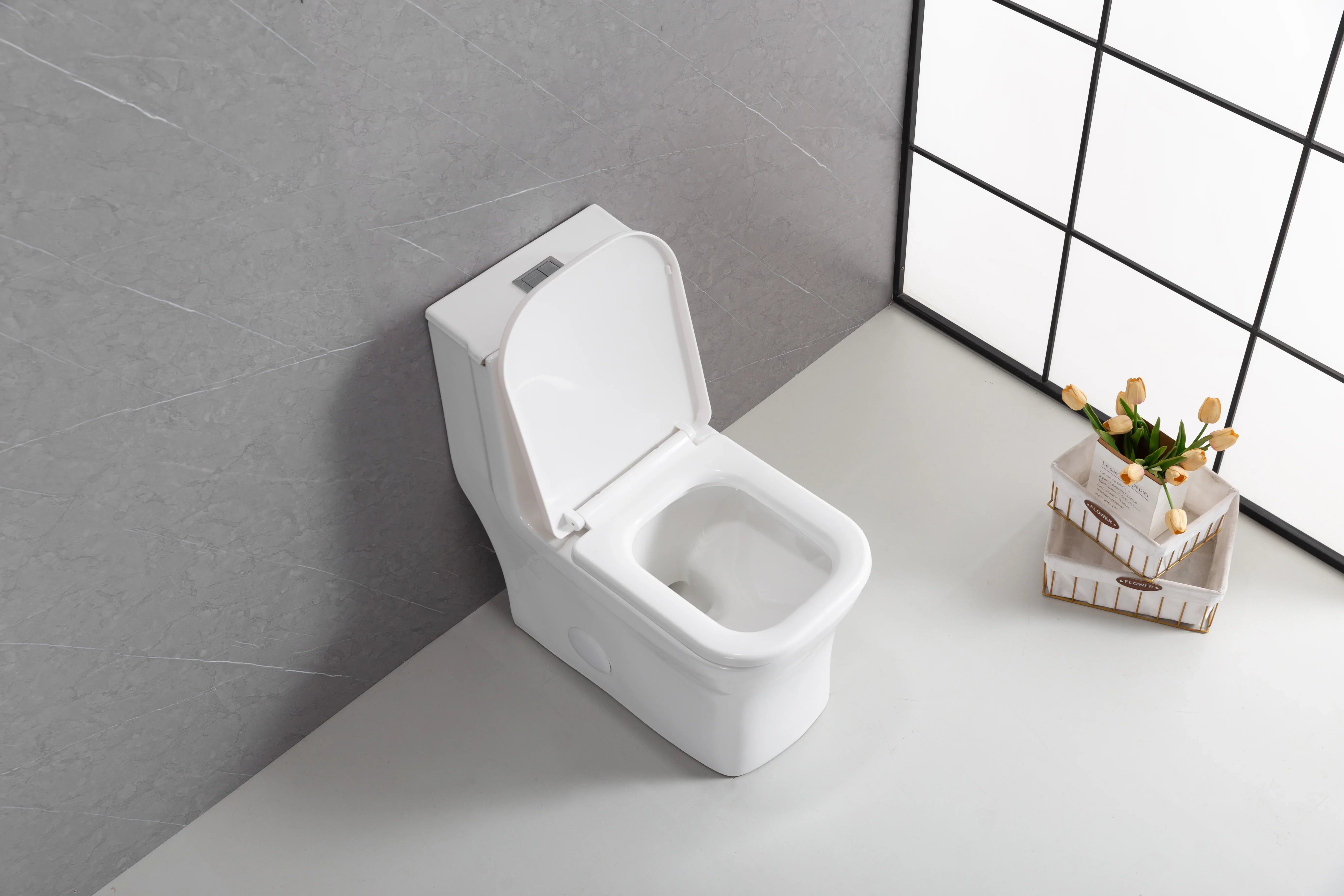 Merida One-Piece Toilet in White – Dual Flush Elongated Square Bowl