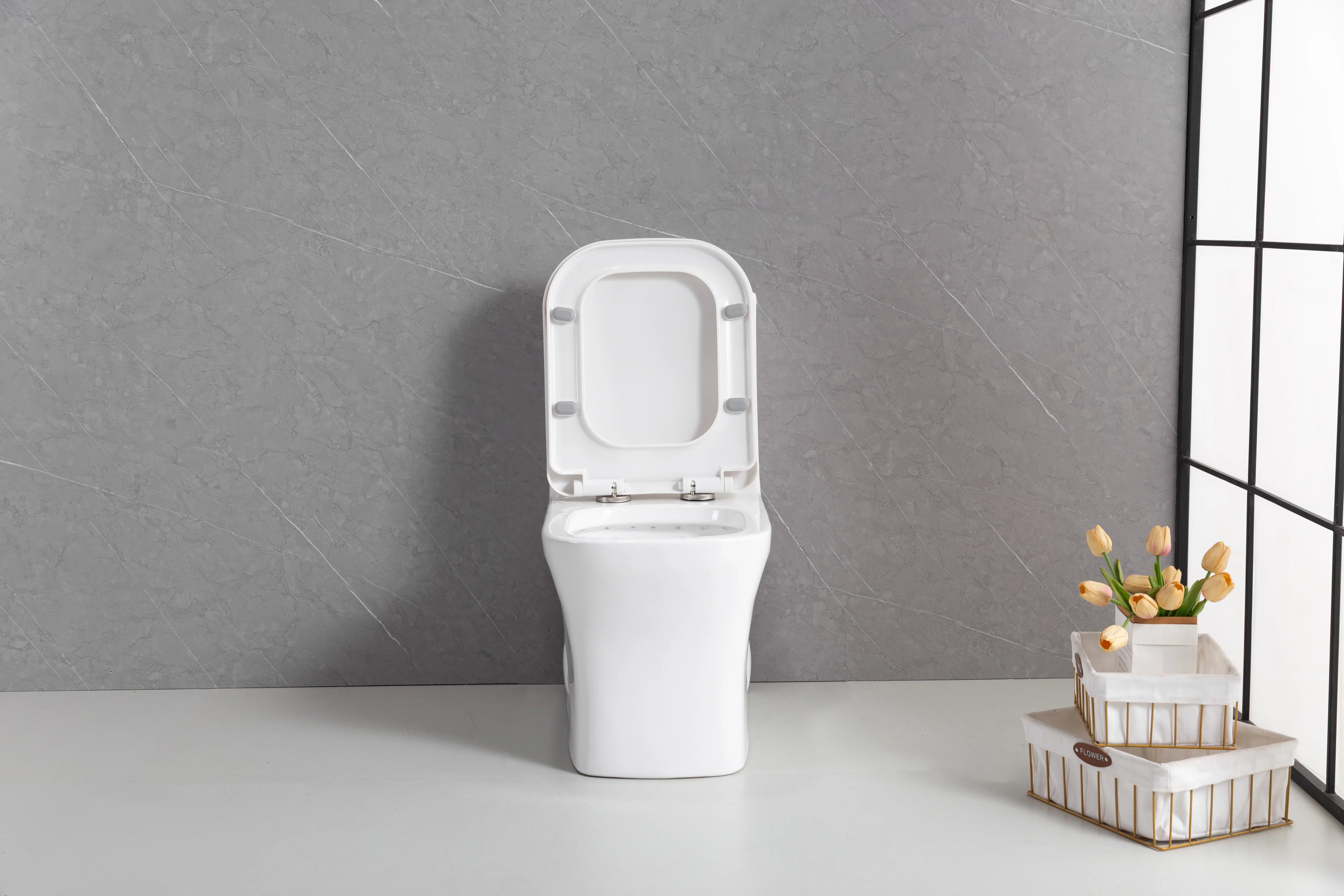 Merida One-Piece Toilet in White – Dual Flush Elongated Square Bowl