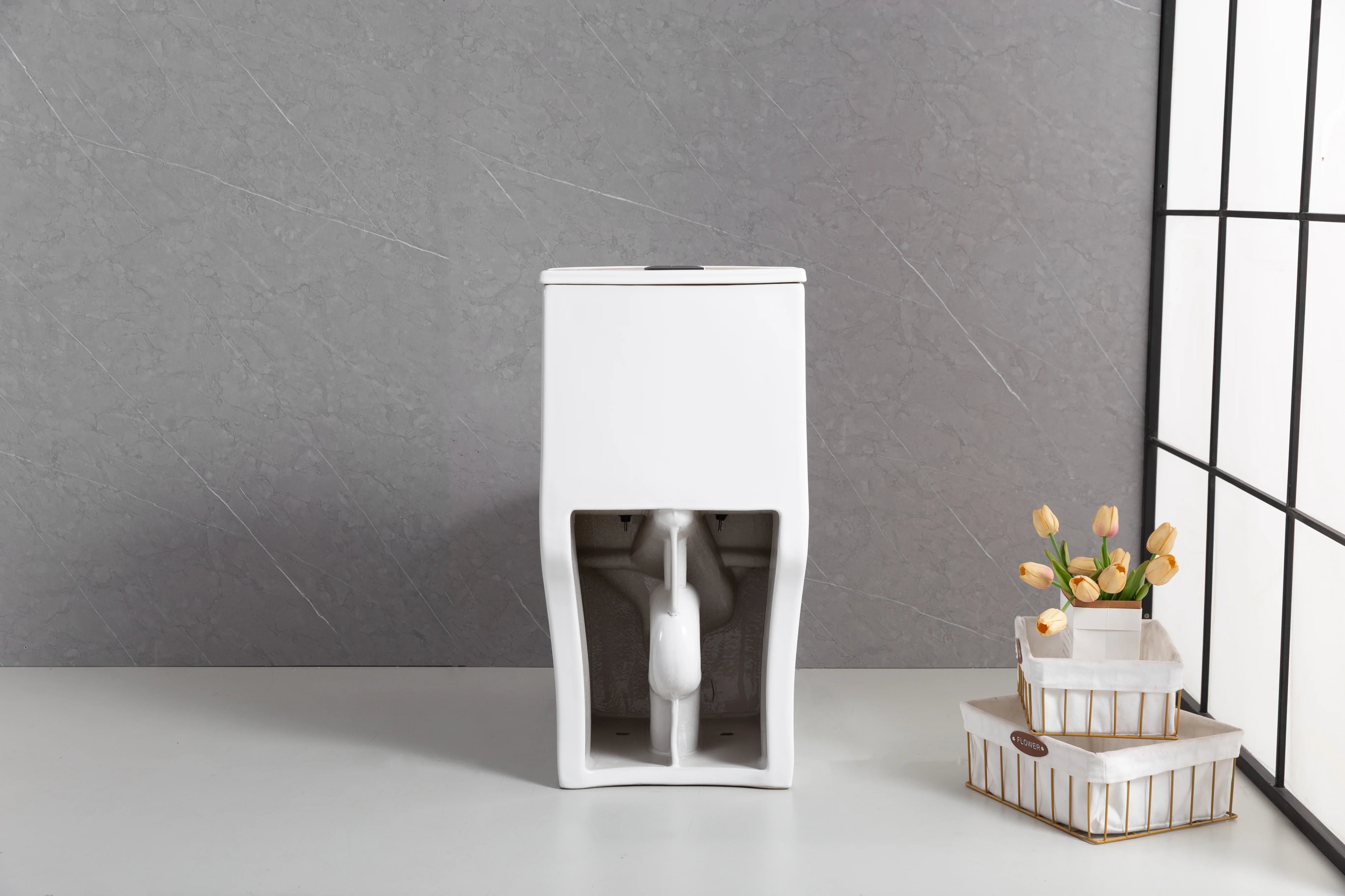 Merida One-Piece Toilet in White – Dual Flush Elongated Square Bowl