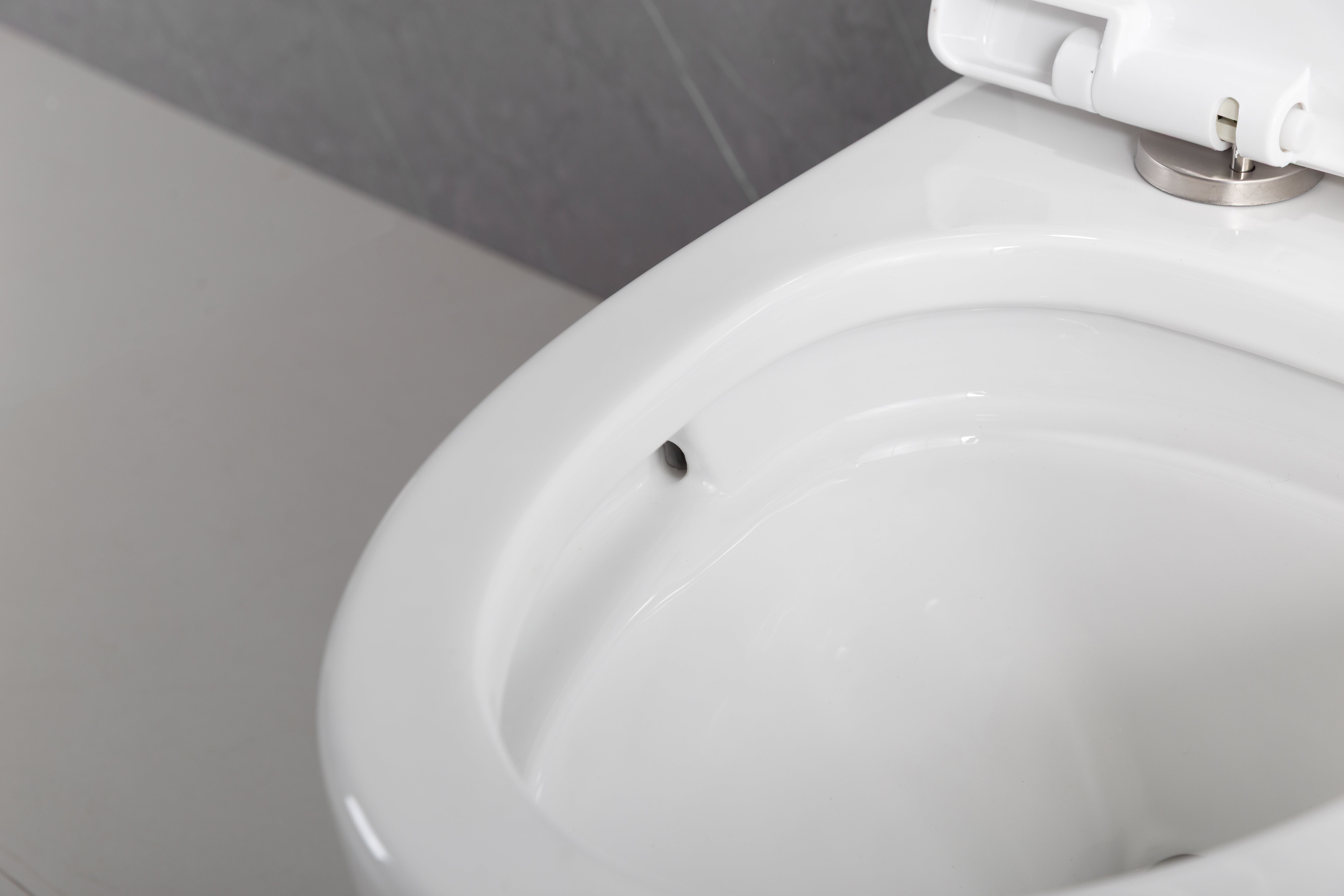 Toilette Monobloc Blanche Vitoria avec Double Chasse d'Eau