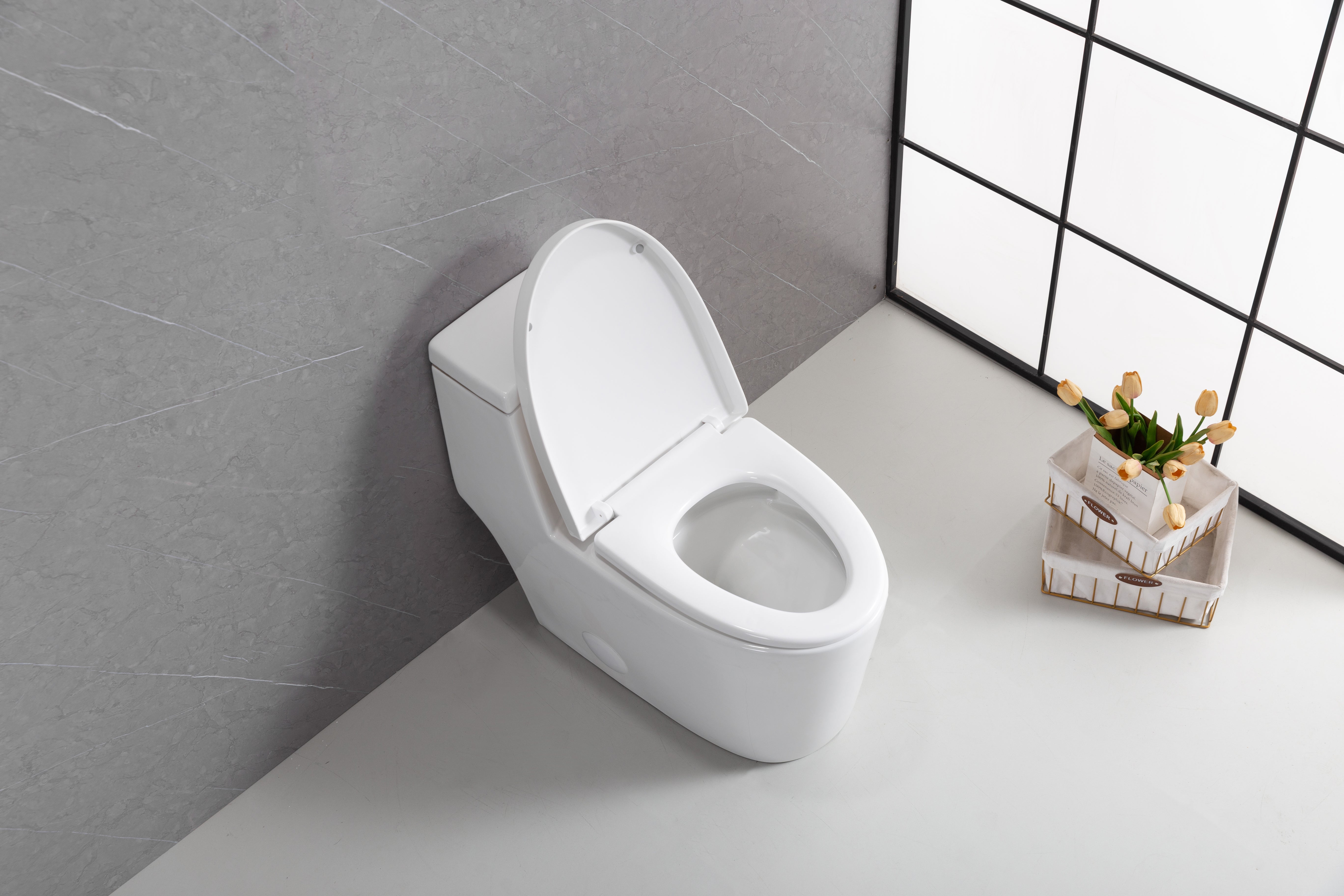 Toilette Monobloc Blanche Vitoria avec Double Chasse d'Eau