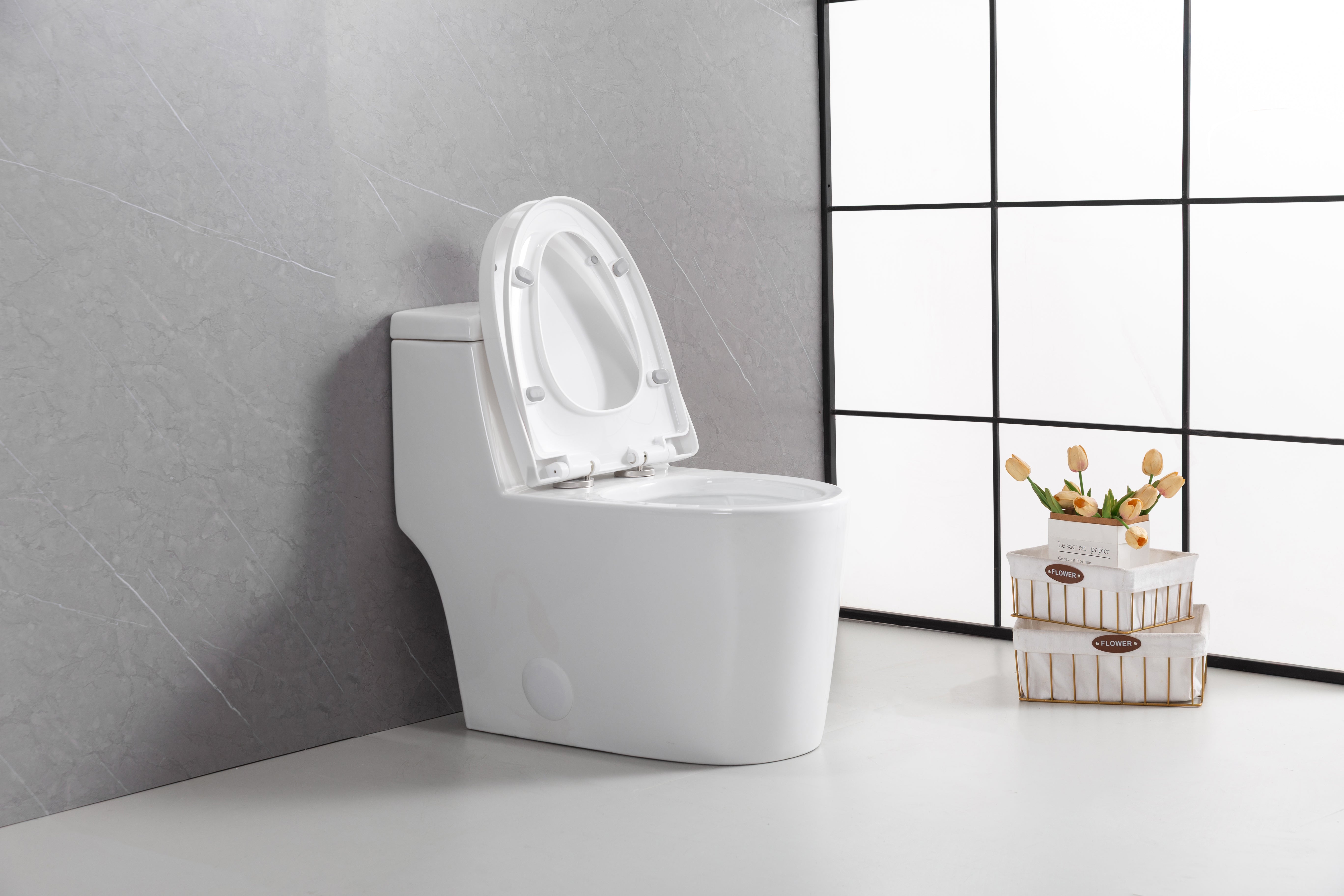 Toilette Monobloc Blanche Vitoria avec Double Chasse d'Eau