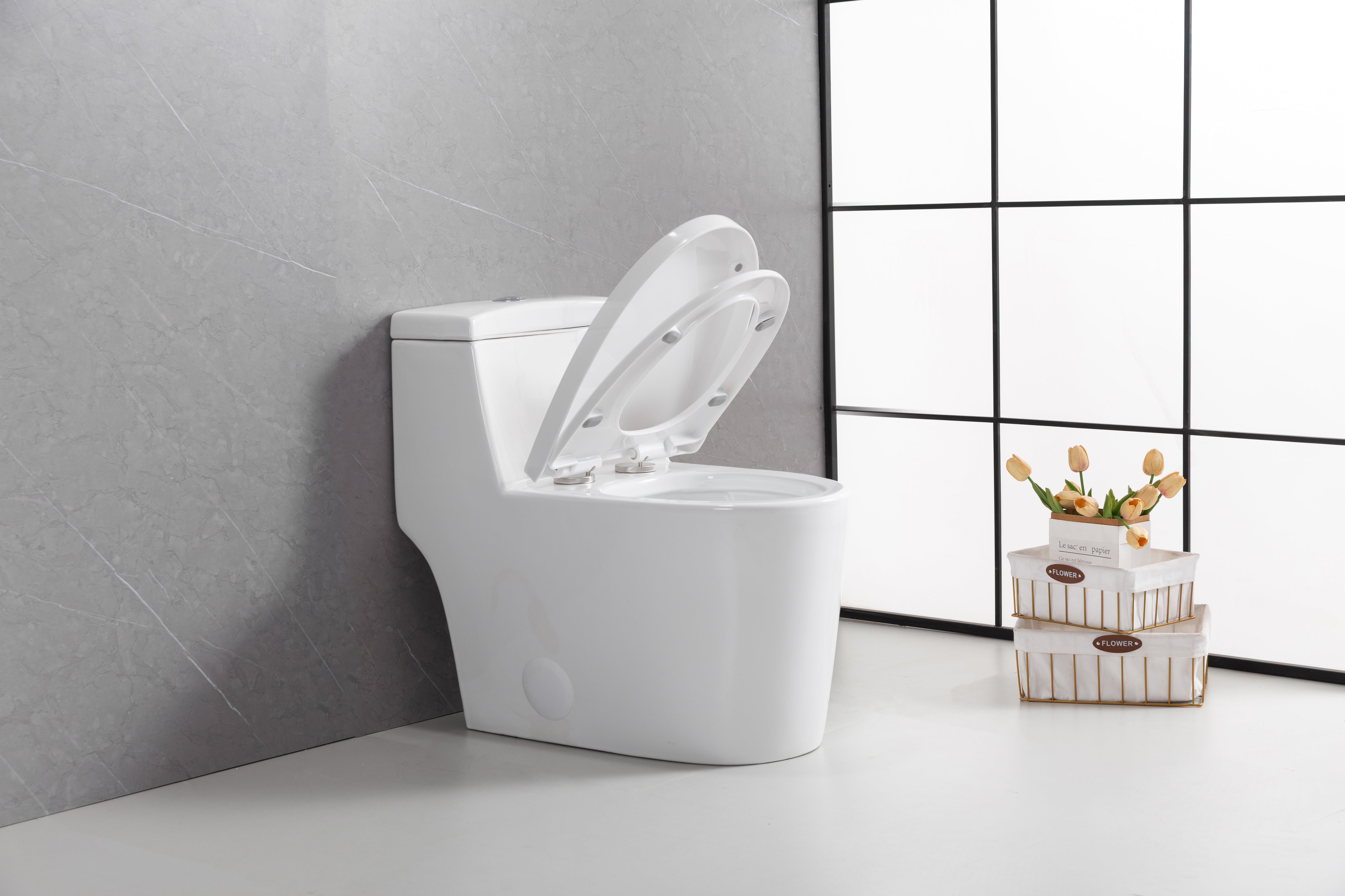 Toilette Monobloc Blanche Vitoria avec Double Chasse d'Eau