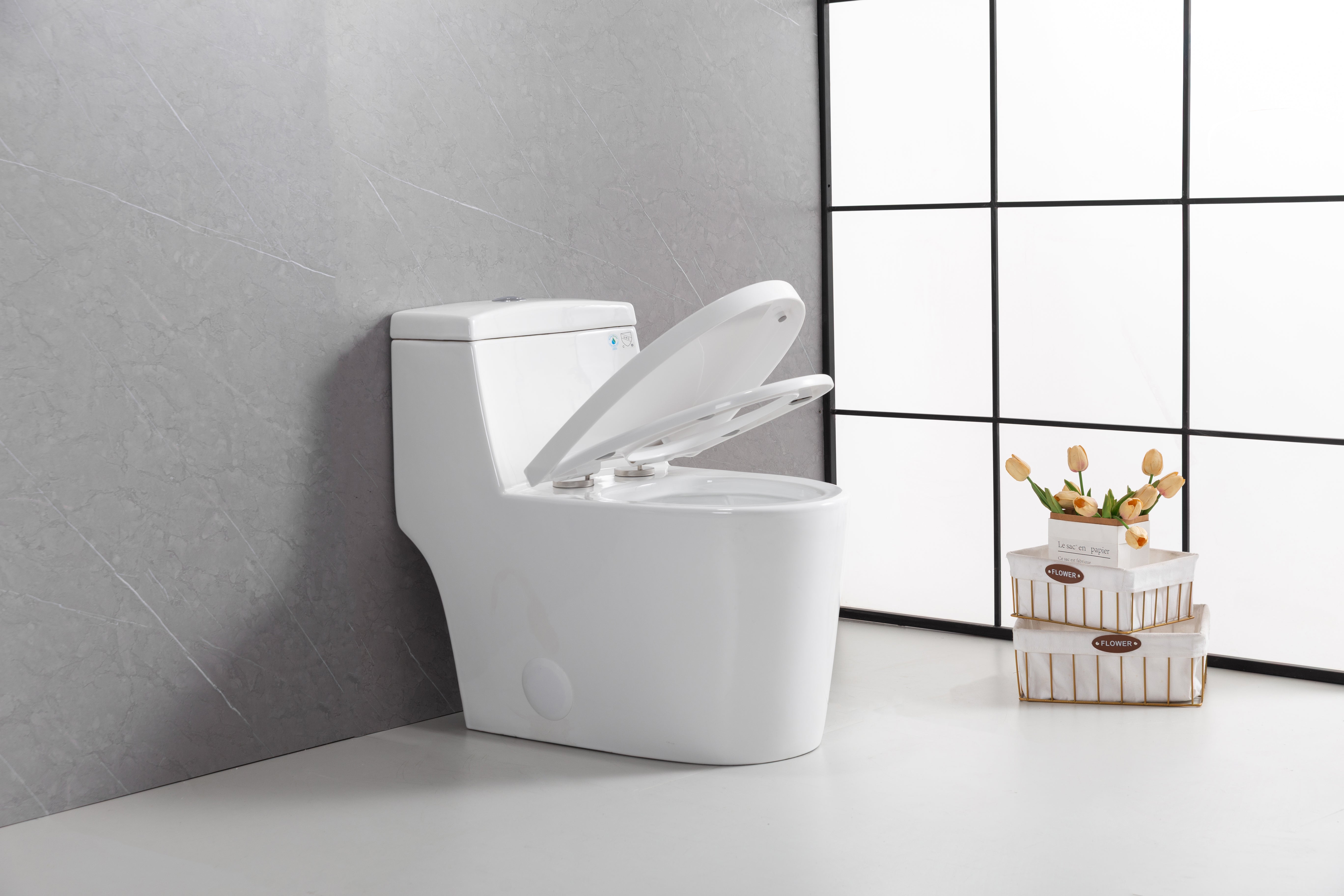 Toilette Monobloc Blanche Vitoria avec Double Chasse d'Eau