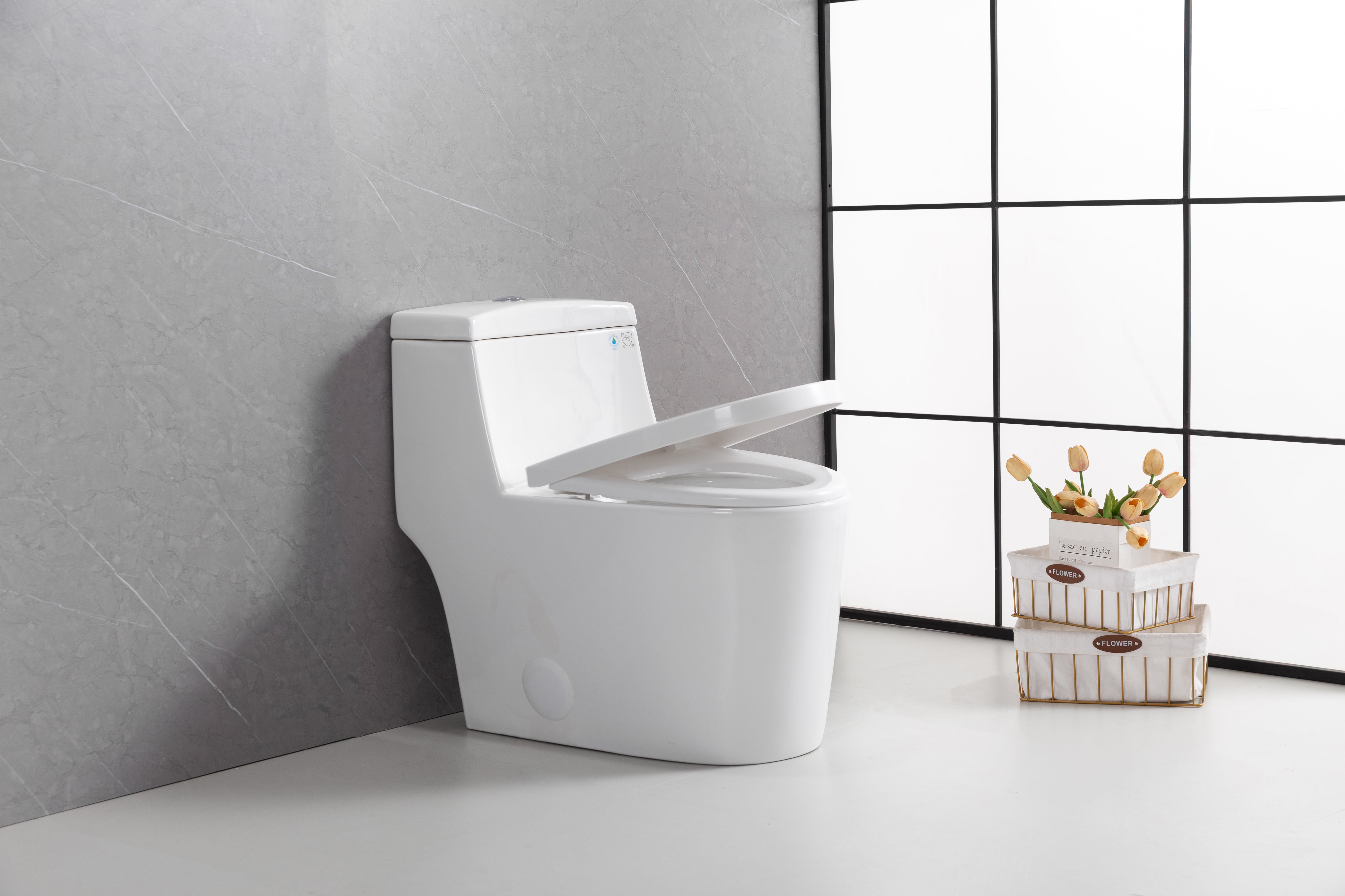 Toilette Monobloc Blanche Vitoria avec Double Chasse d'Eau