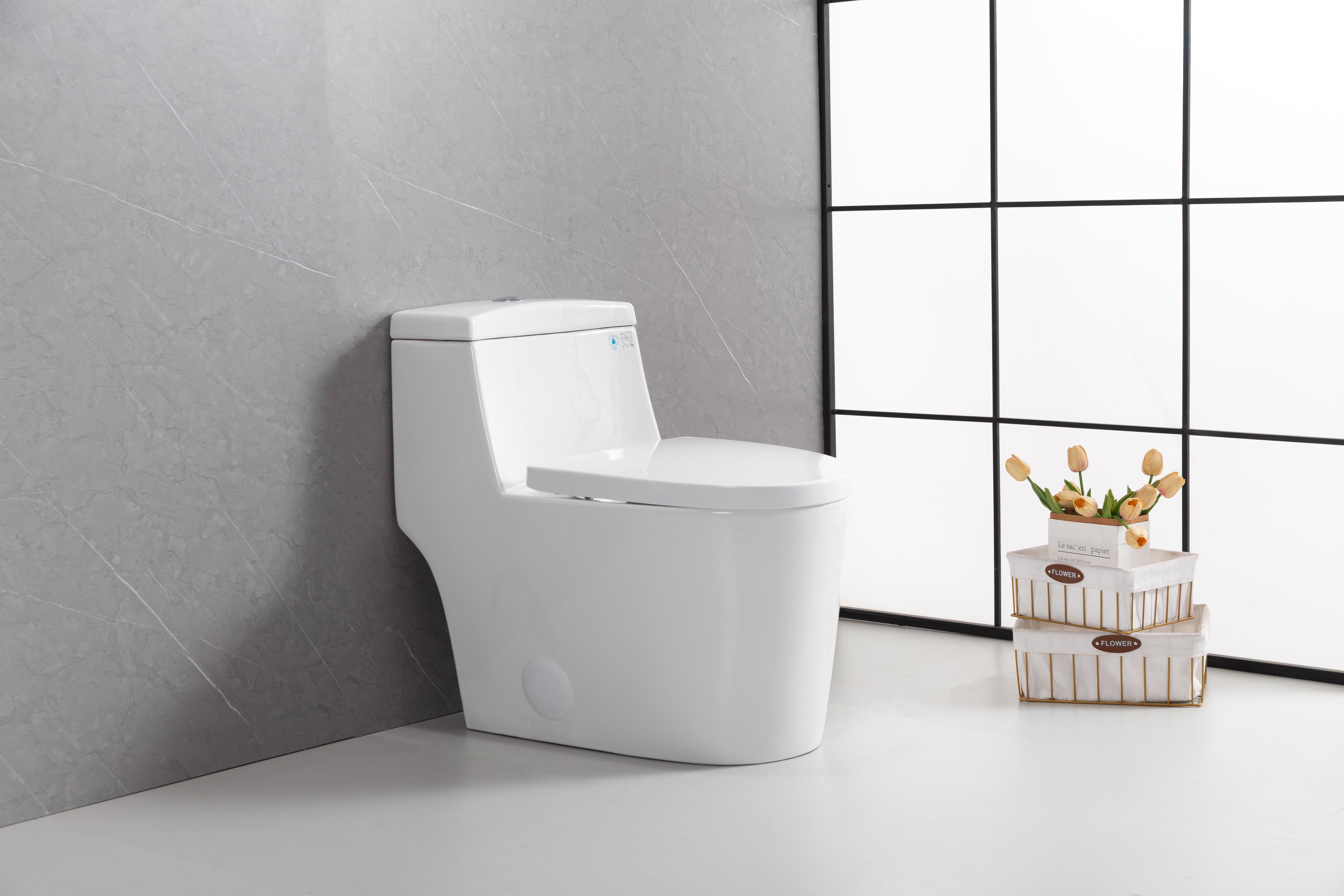 Toilette Monobloc Blanche Vitoria avec Double Chasse d'Eau