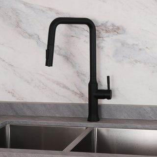 Two Function Pull Out Kitchen Faucet - Matte Black