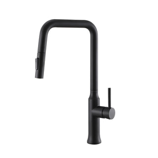 Two Function Pull Out Kitchen Faucet - Matte Black