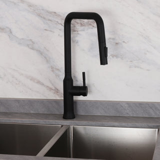 Two Function Pull Out Kitchen Faucet - Matte Black