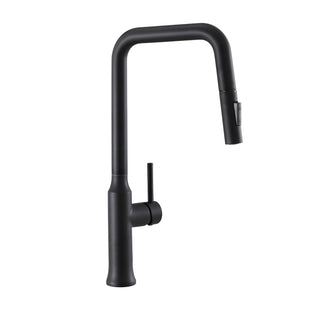 Two Function Pull Out Kitchen Faucet - Matte Black