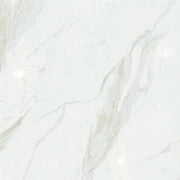 24" x 24" Porcelain Tile - Cartogena-Glossy