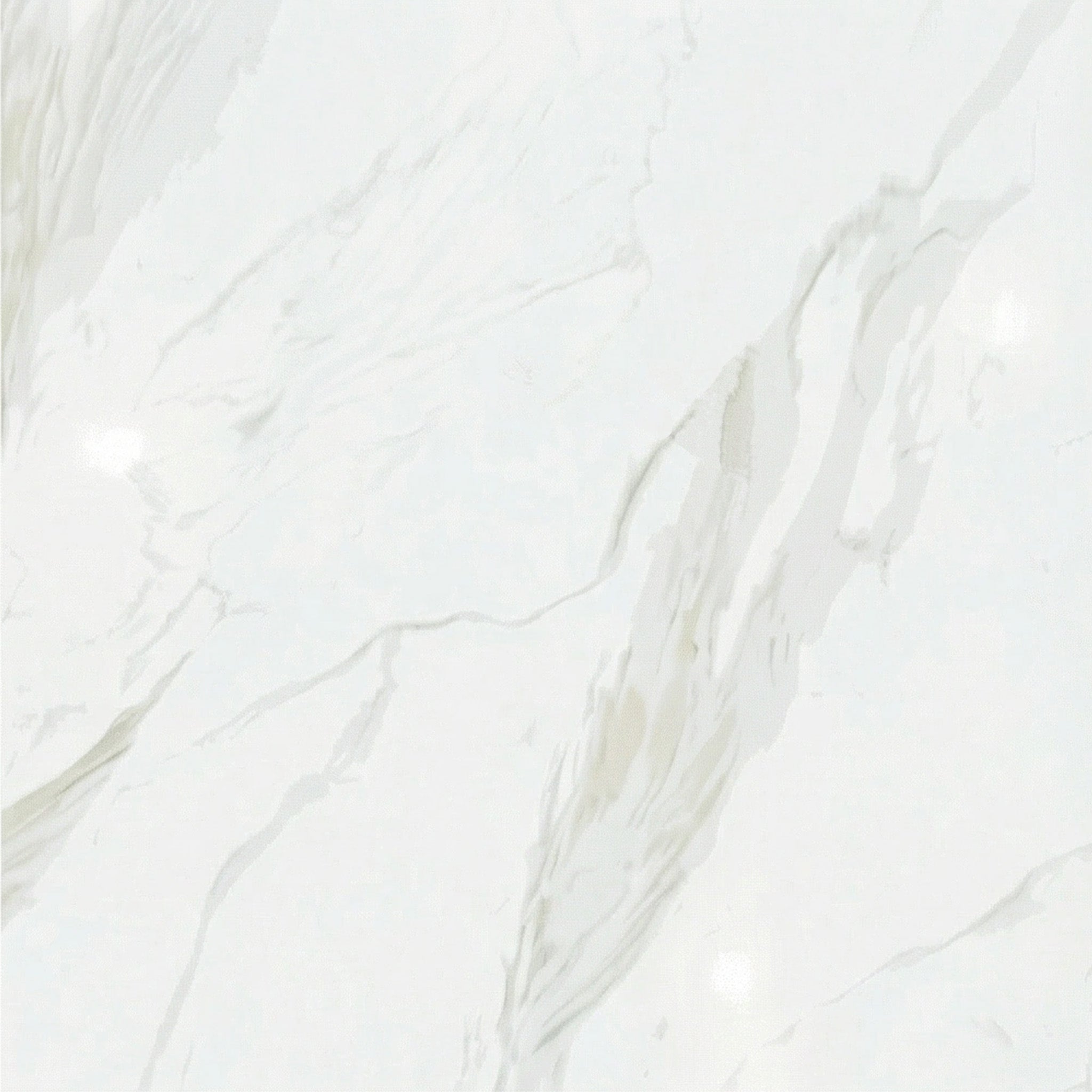 24" x 24" Porcelain Tile - Cartogena-Glossy