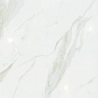 Carreau de porcelaine 24 po x 24 po - Cartogena - Brillant