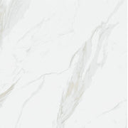 24" x 24" Porcelain Tile - Cartogena Matte