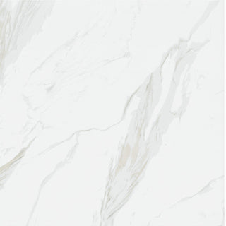 Carreau de porcelaine 24 po x 24 po - Cartogena-Mat