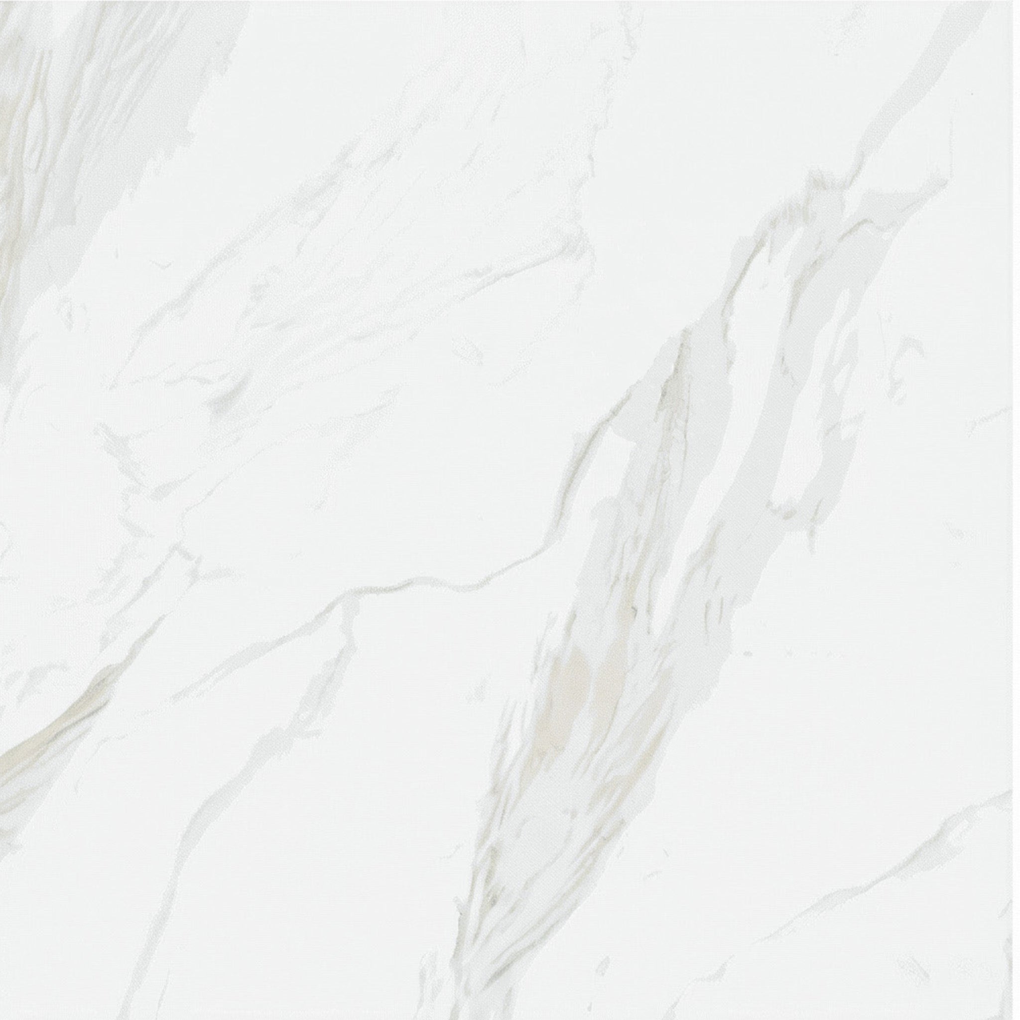 24" x 24" Porcelain Tile - Cartogena-Matte