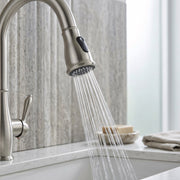 Retro Elite Kitchen Faucet - Brushed Nickel