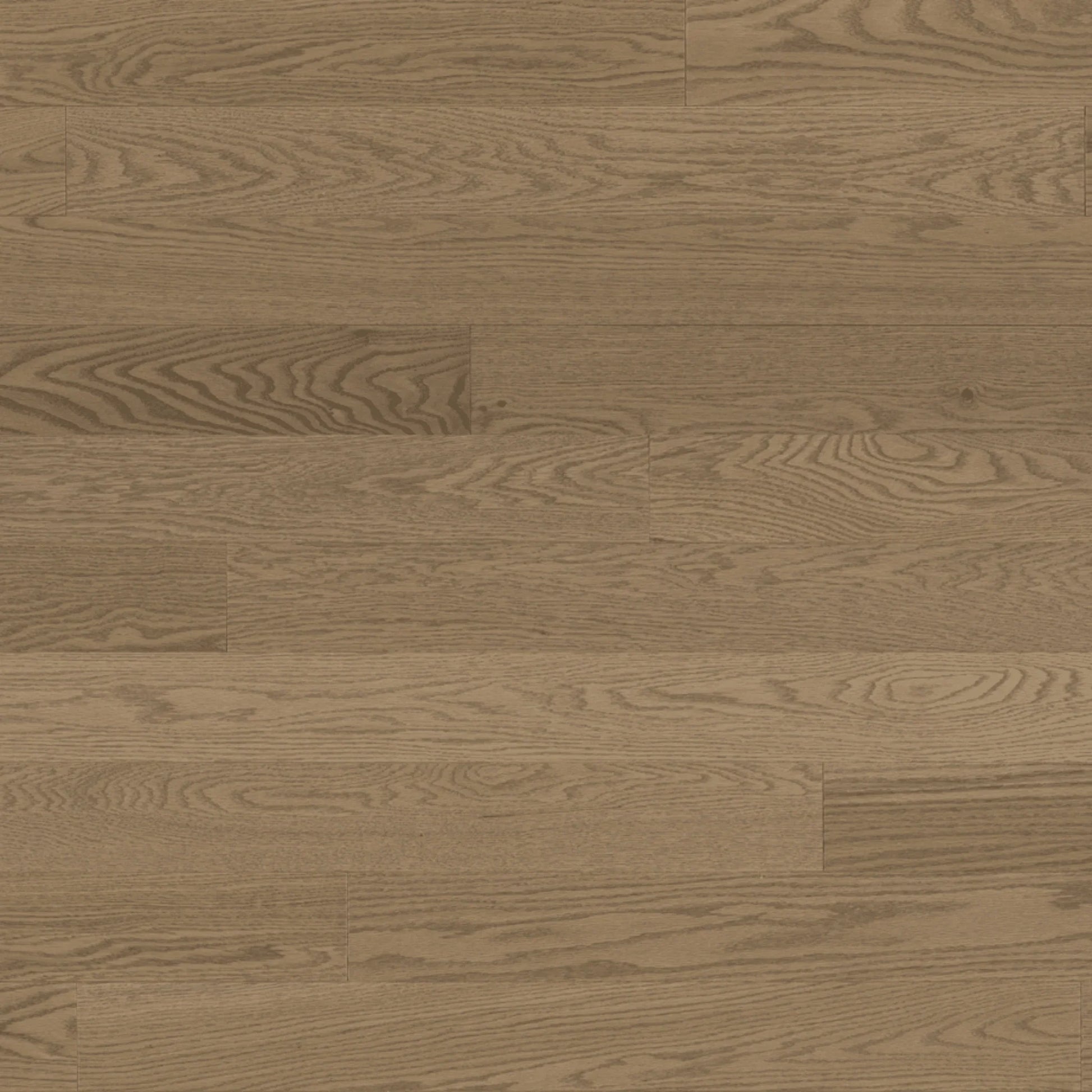 Red Oak Solid Hardwood Flooring - Barili - 4 1/4" Nuance Ultra-Matte 10% Smooth - Golden Elite Deco
