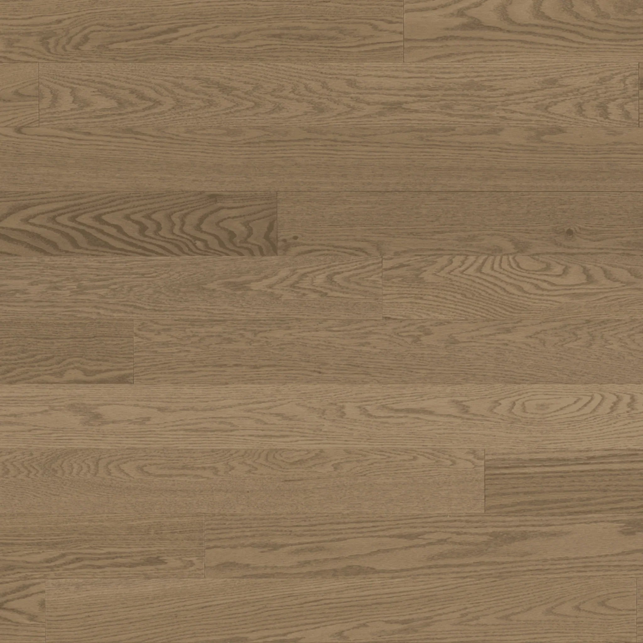 Red Oak Engineered Hardwood Flooring - Barili - 3 1/8" Nuance Ultra-Matte 10% Smooth - Golden Elite Deco