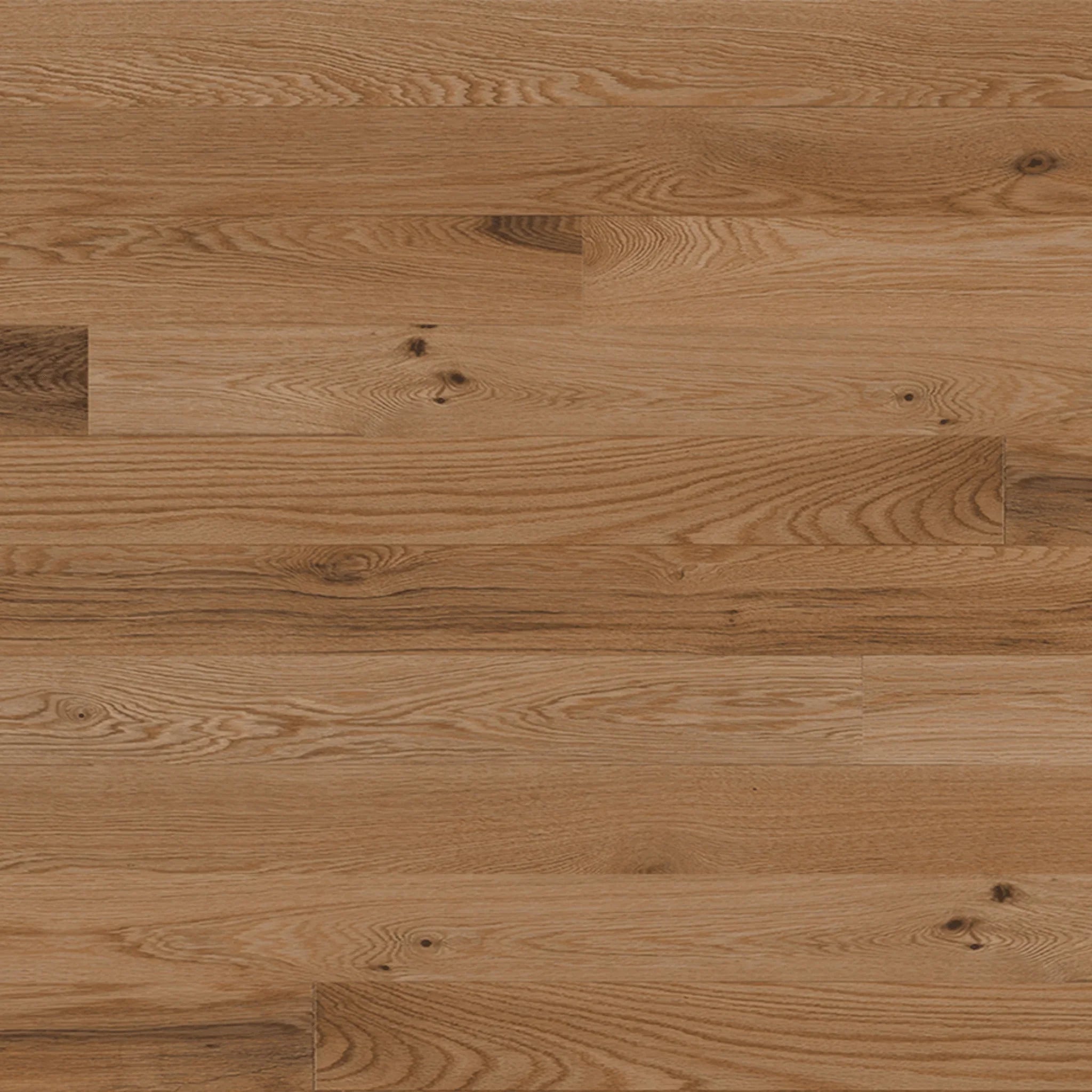 Red Oak Engineered Hardwood Flooring - Raphia - 3 1/8" Nuance Matte 20% Smooth - Golden Elite Deco