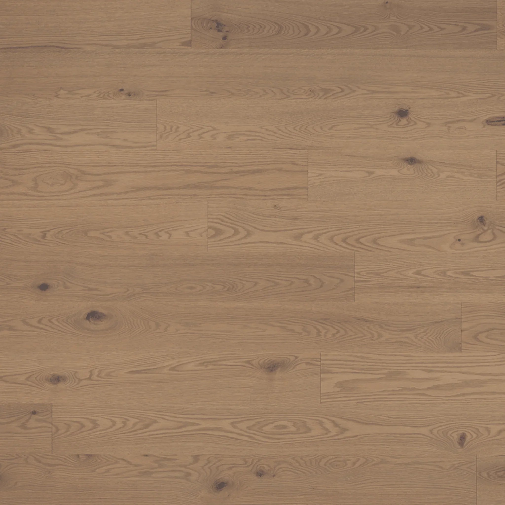 Red Oak Engineered Hardwood Flooring - Ulysse - 5 3/16" Character Ultra-Matte 10% Wire brushed - Golden Elite Deco