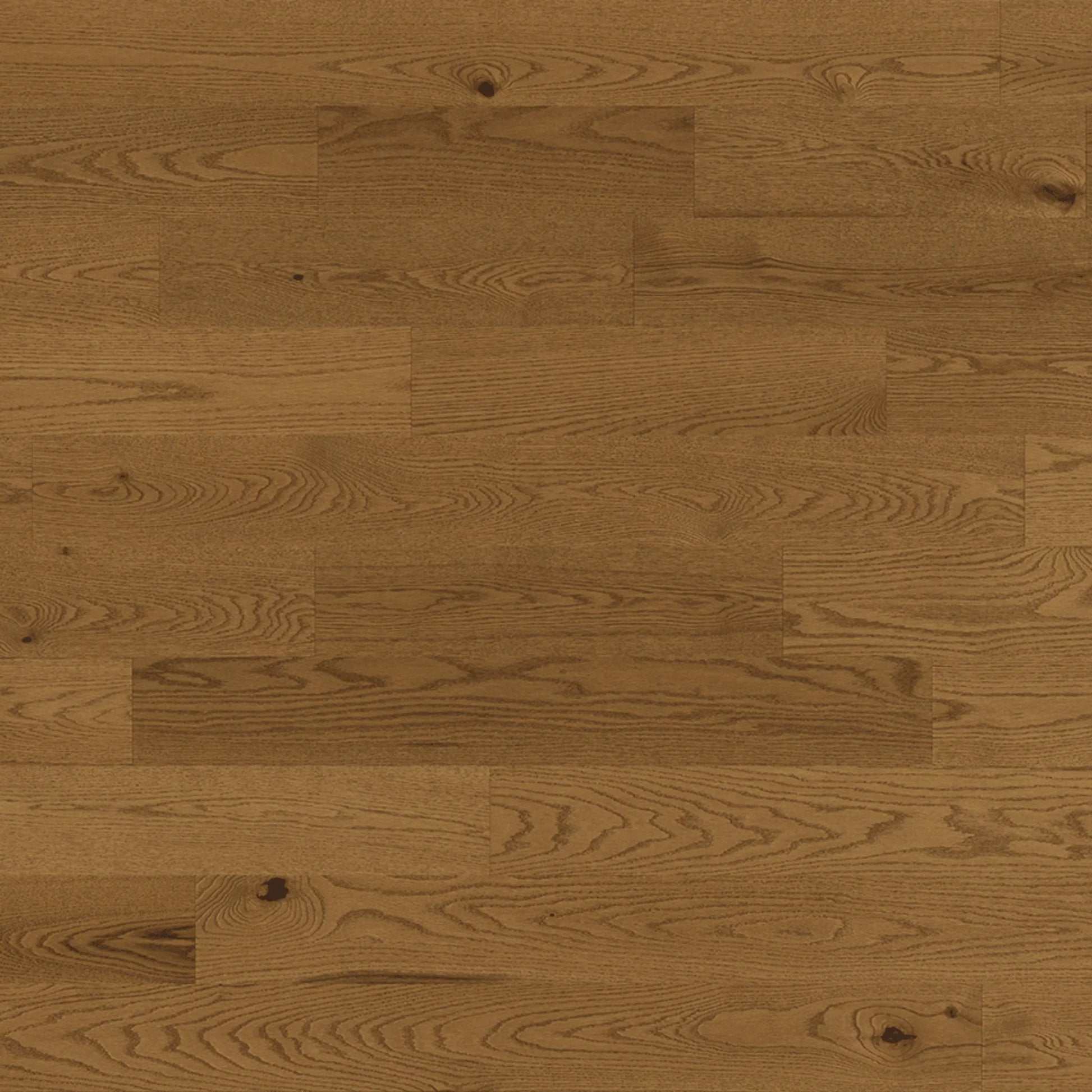 Red Oak Engineered Hardwood Flooring - Fito - 5 3/16" Character Ultra-Matte 10% Wire brushed - Golden Elite Deco