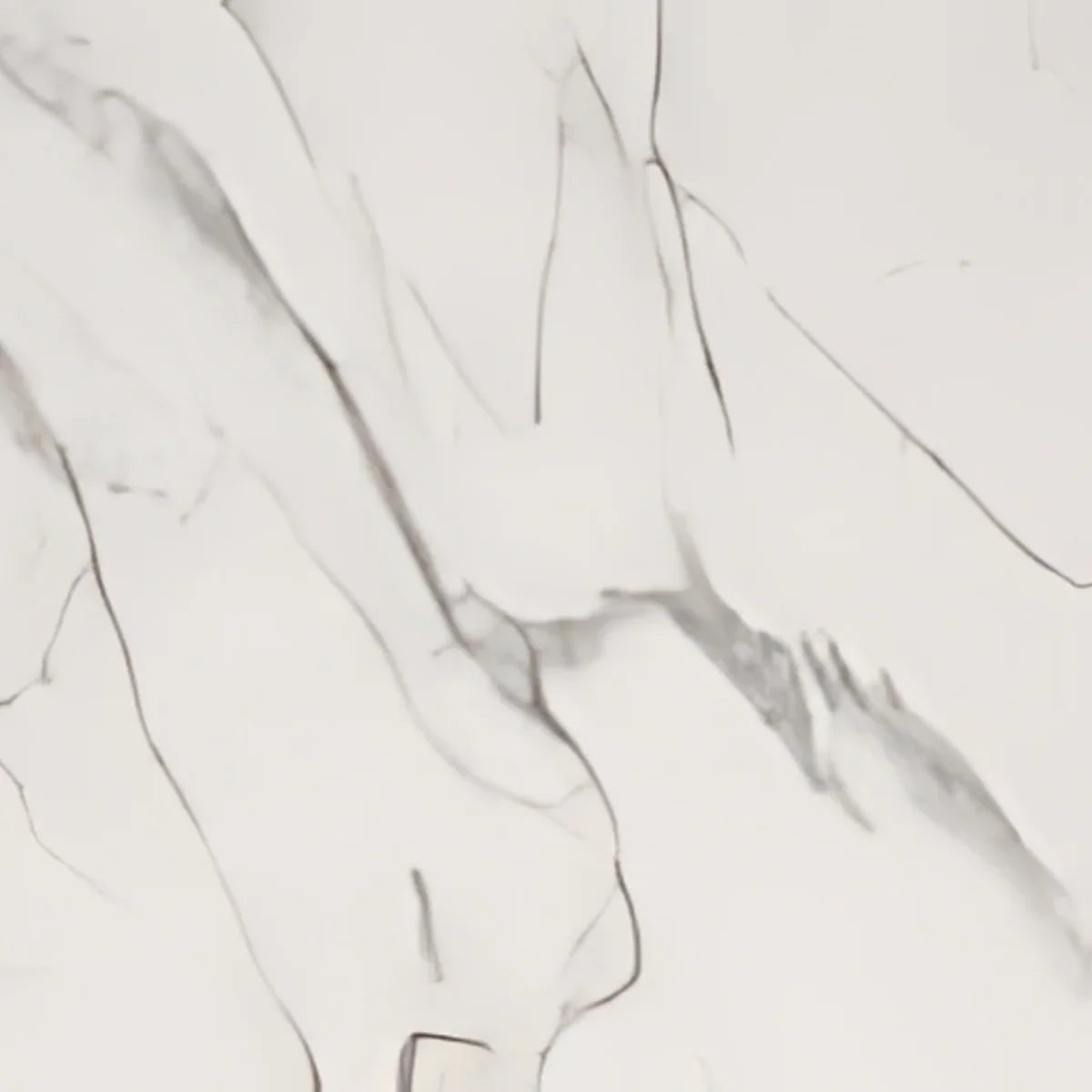 12" x 24" Porcelain Tile - Rockwood Bianco