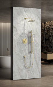 Vero 2-Function Pressure Balance Shower Set in Brushed Gold