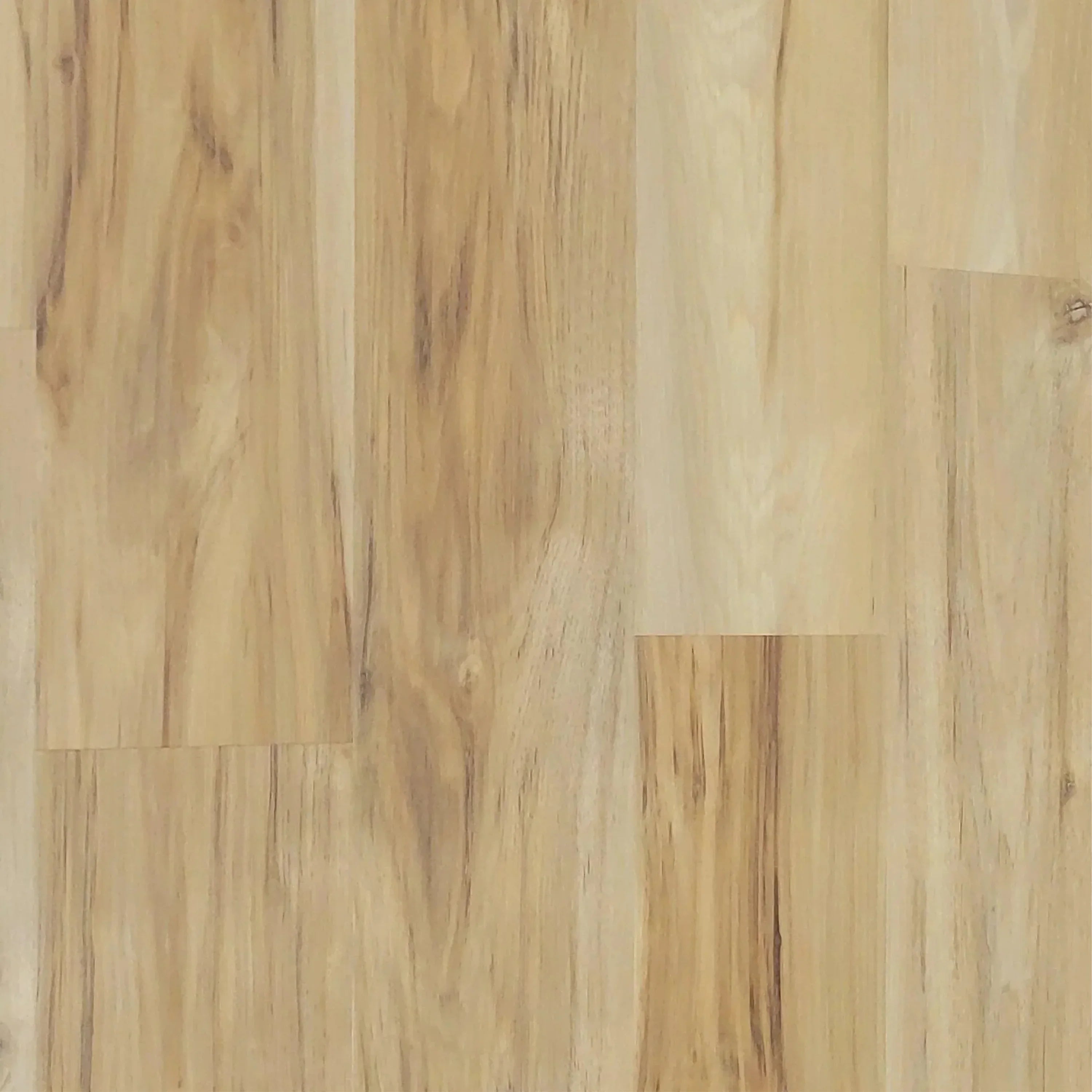 Plancher Vinyle SPC à Clipser en Pin Naturel de 5,55mm avec sous-couche | 7 in x 54 in