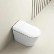 SERA Sigma Toilette-bidet intelligente, toilette monopièce avec chasse automatique à jet, couvercle à ouverture/fermeture automatique, lavage à l’eau tiède, séchage à air chaud, siège chauffant – Finition dorée