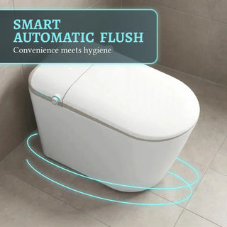 SERA Sigma Smart Bidet Toilet, One-Piece Toilet with Auto Jet Flush, Auto Open/Close Lid, Warm Water Wash, Warm-Air Dryer, Heated Seat – Gold Trim